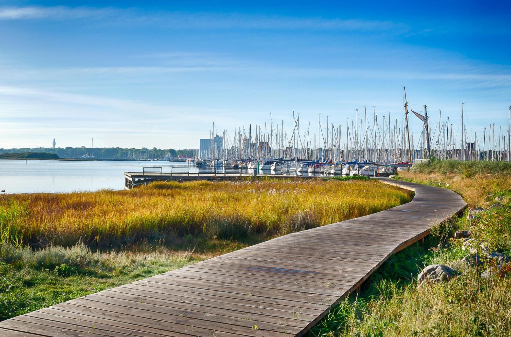 Ostsee - Appartement Nr 89 "Salzaster" Im Strand Resort 하일리겐하펜 외부 사진